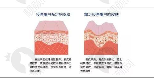 沈阳名流王旭医生个人资质
