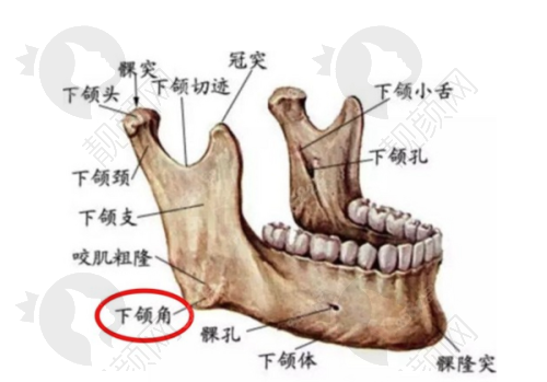 沈阳名流王旭医生做擅长项目怎么样