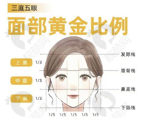 六、温州和平国内外医院价格表：（仅供参考）