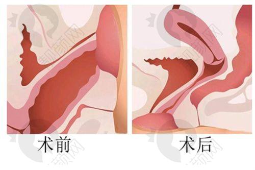 兰州时光激光整形美容医院贾治兰医生简介