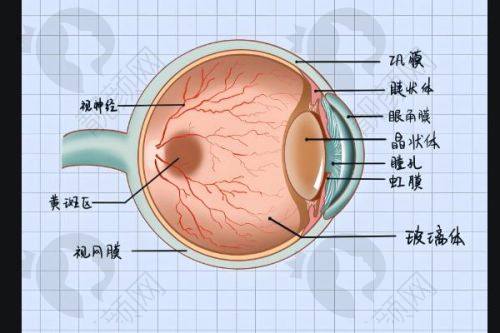 贵州省人民医院近视眼手术预约:方便快捷