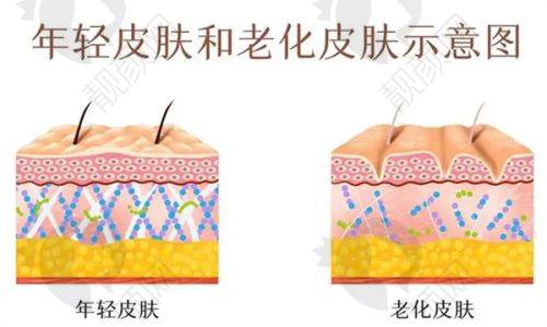 六、石家庄雅芳亚医疗美容医院价格表：（仅供参考）