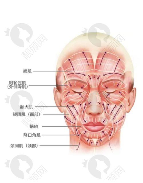 武汉华美拉皮医生推荐付国友,做面部大拉皮技术靠谱价格优,口碑好技术强别错过!