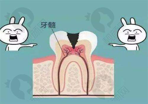 珠海海精灵口腔的地址和乘车路线