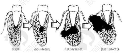 珠海海精灵口腔的其他优势