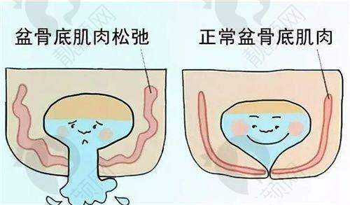 与其他植发机构对比