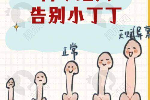 医生团队介绍