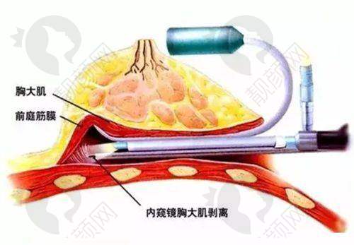 二、焦作缔莱美整形医院正规吗？来看看医院资质：