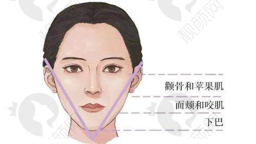 武汉五洲整形外科医院的地址及预约方式