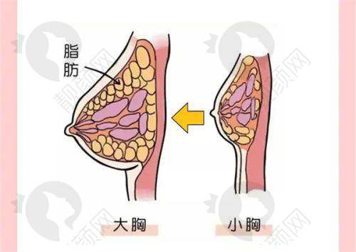 南昌市第十二医院植发科医生情况