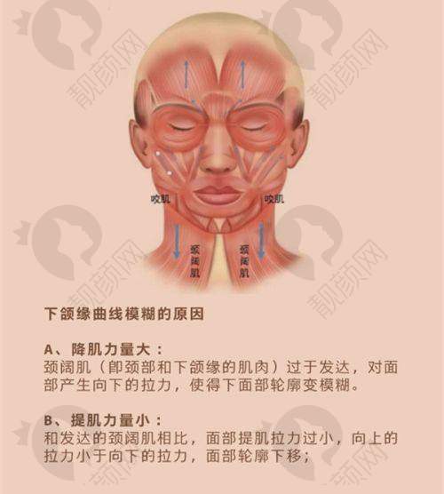 抚顺蓝天医疗美容诊所2025年价格表