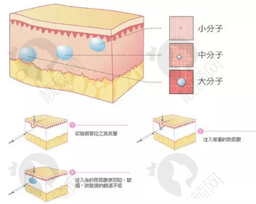 本月优惠活动