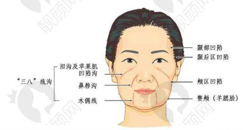 整形科擅长项目
