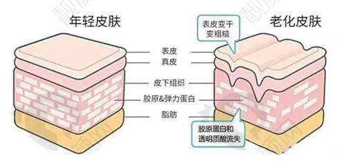 服务项目介绍