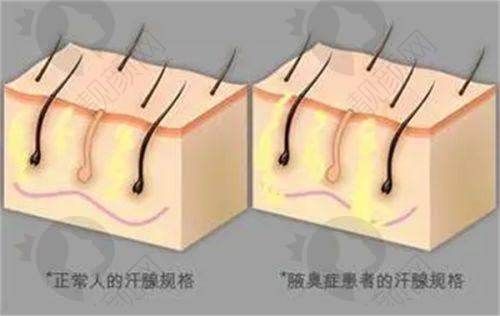 与其他西宁整形美容医院的对比