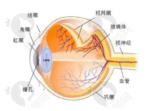 九江爱尔眼科医院口碑如何?患者评价高