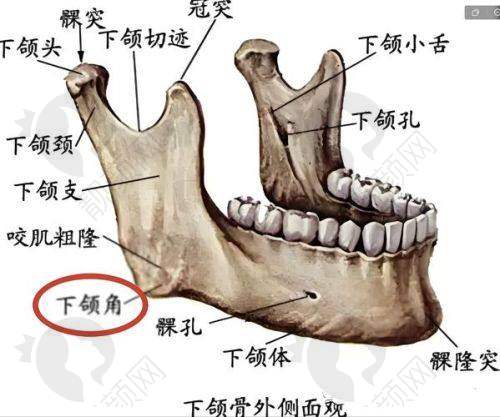 北京圣嘉新医疗美容医院张立天医生个人资质