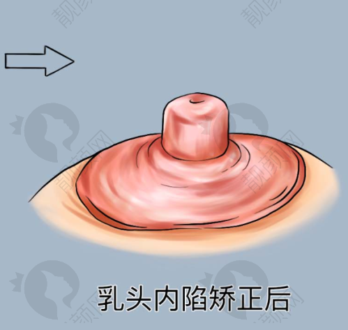 专精的医生团队