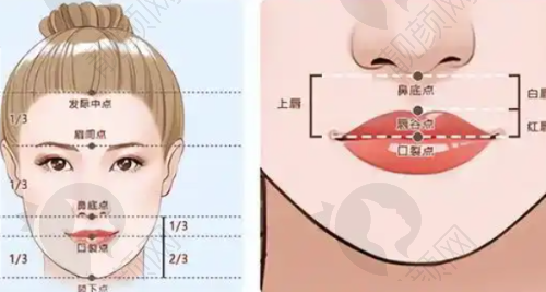 专精的医生团队