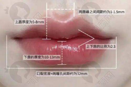 重庆新沐植发2025年价格表