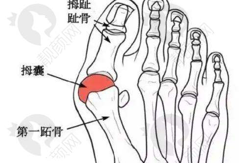 上海容妍医疗美容医院:便捷的预约方式