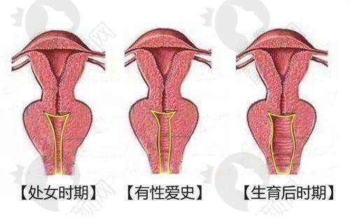 医疗团队支持