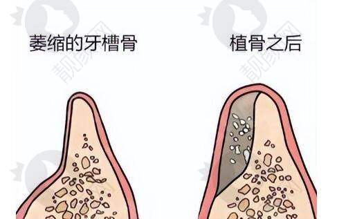 上海排名前十整形医院大盘点,这几家技术靠谱口碑好,地址电话别错过!