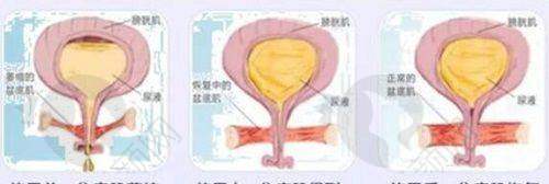 一站式毛发解决方案