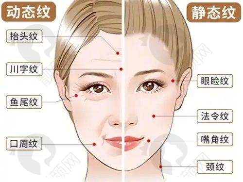 口碑与评价