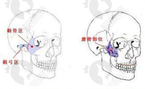 五、太原军大医疗美容医院怎么预约：