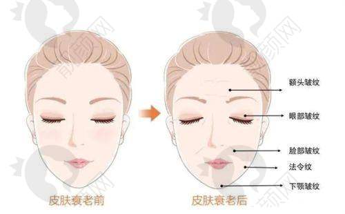 实力雄厚的医生团队
