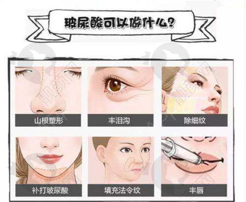 医生团队介绍