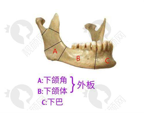 广州可玉7D聚拉缇真实评价反馈