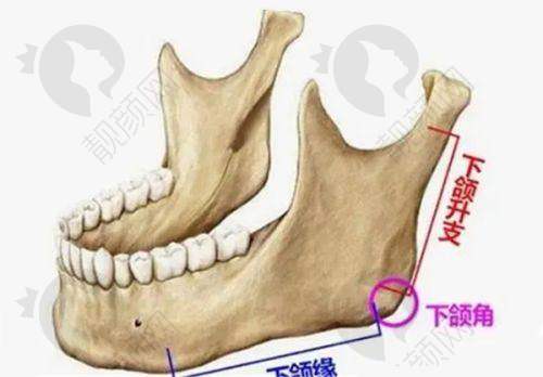 其他整形修复手术