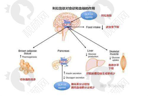 西安肤康皮肤病医院消费价目