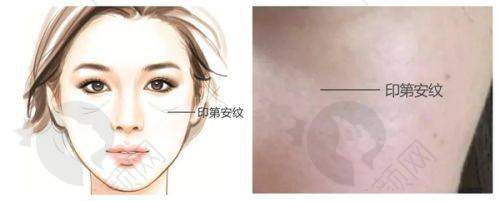 全方面的服务项目