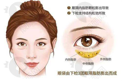 二、上海华美整形医院正规吗？来看看医院资质：