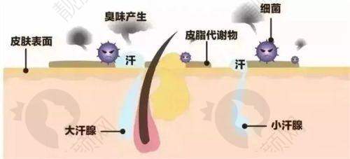 三、宁波鄞州艺星时代美容医院医生介绍