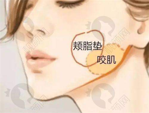 上海时光整形外科医院:科技融合,美丽新生