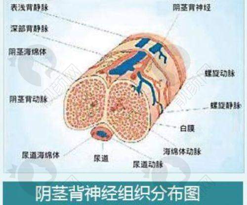 一、深圳南华西晶医疗美容门诊部怎么样？