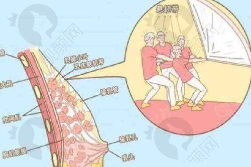 广州韩妃刘志刚医生个人资质