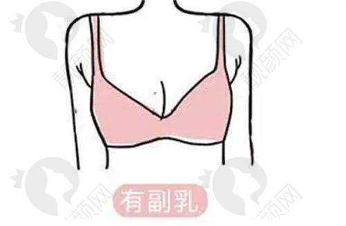 六、昆明杰西艾整形外科医院价格表：（仅供参考）