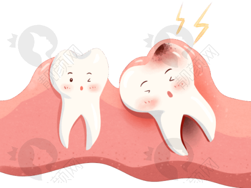 奉送上海曙康便捷交通位置