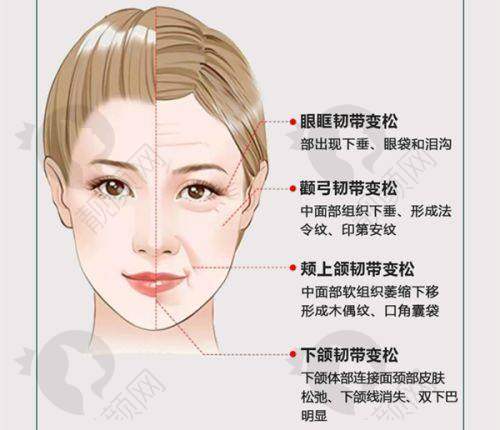 南阳市第三人民医院整形美容科：国有科室，专精可靠
