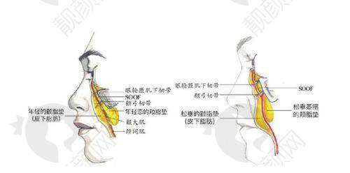 南阳市天后医疗美容：项目齐全，接轨海内外