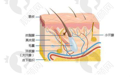 二、长沙鹏爱医疗美容门诊部正规吗？来看看医院资质：