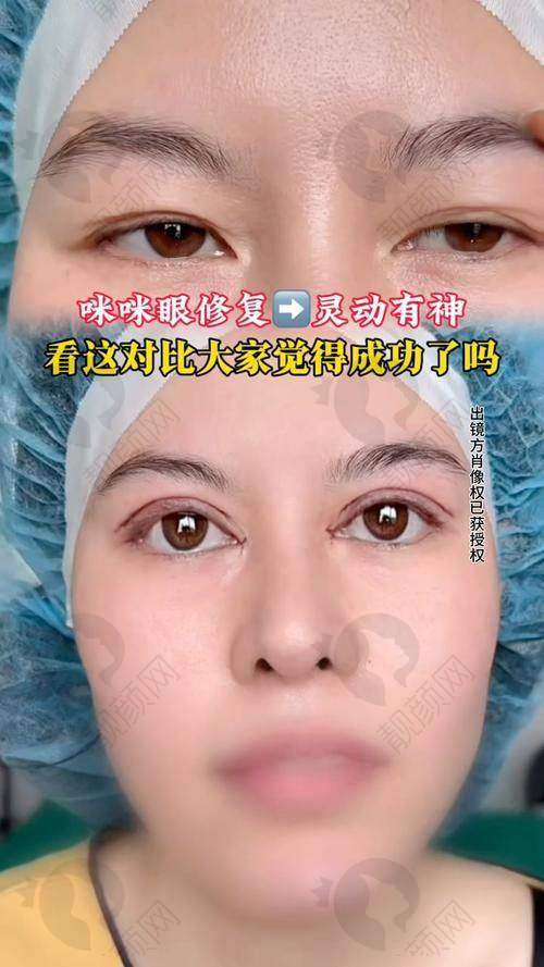 潘贰医生个人资质