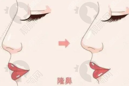 其他有医生生：各有特色