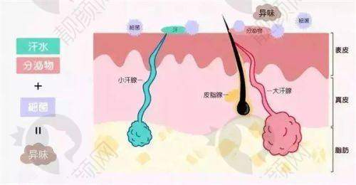 二、成都中医 大银海整形医院正规吗？来看看医院资质：