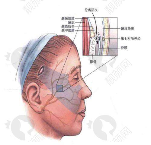 二、大连铂恩美学医疗美容门诊部正规吗？来看看医院资质：